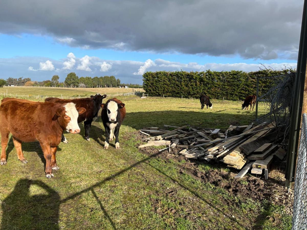 Ra-Ata Farm Bed & Breakfast Rangiora Eksteriør bilde